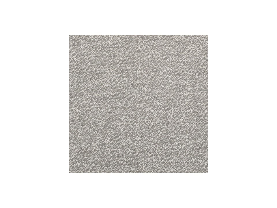 Chaseton Champagne Server A4000335