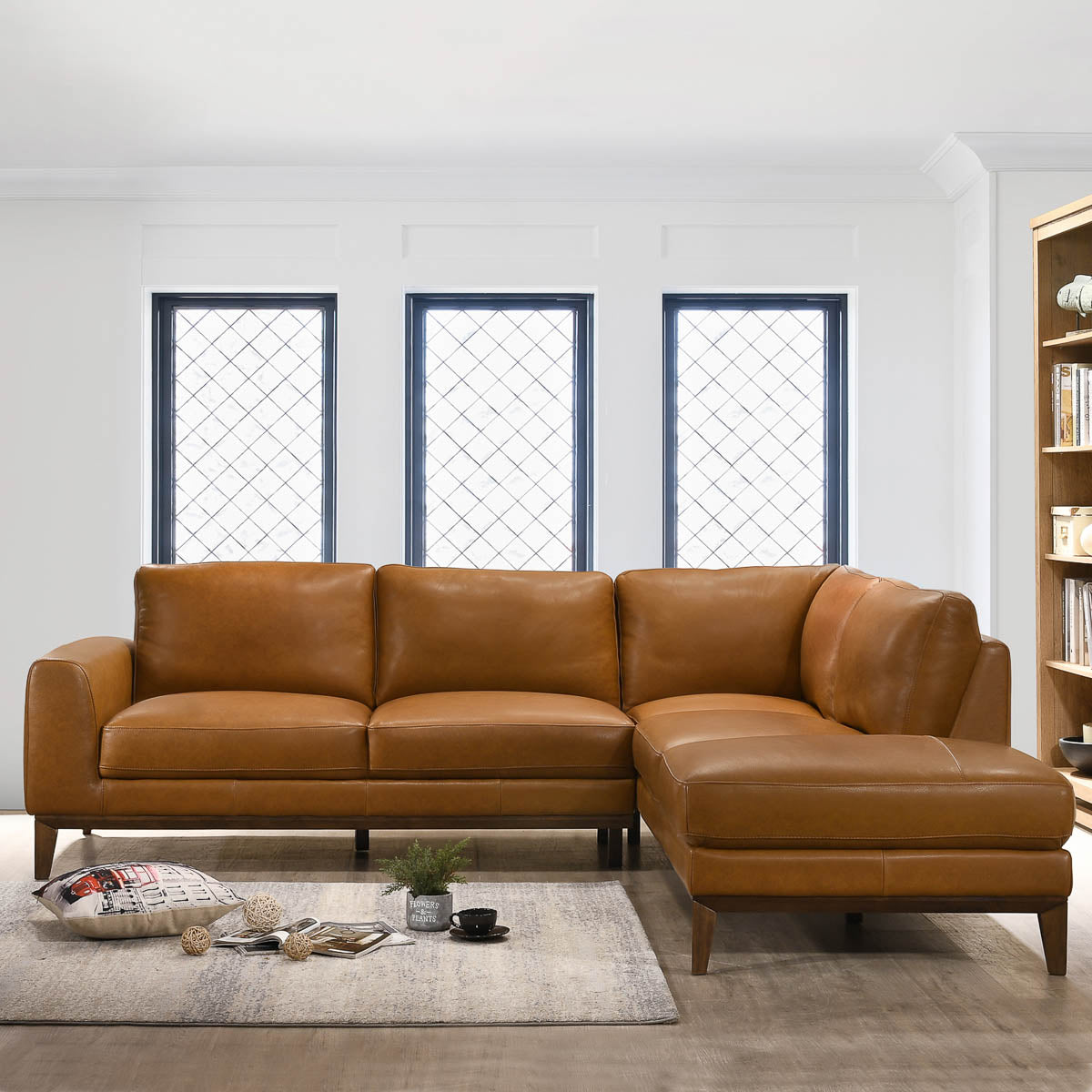 Full grain deals sectional