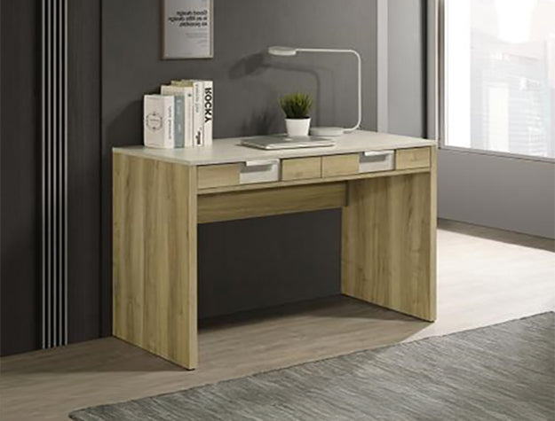 Rangley Driftwood Writing Desk B6832