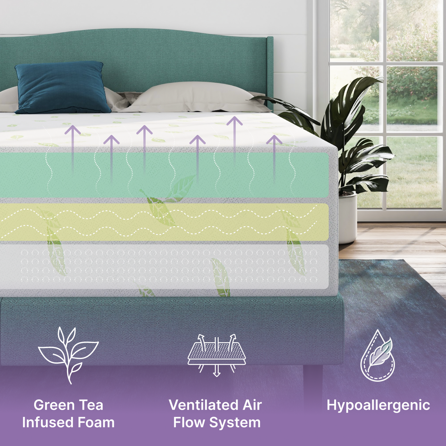 Anula Queen Green Tea Infused 12" Memory Foam Mattress