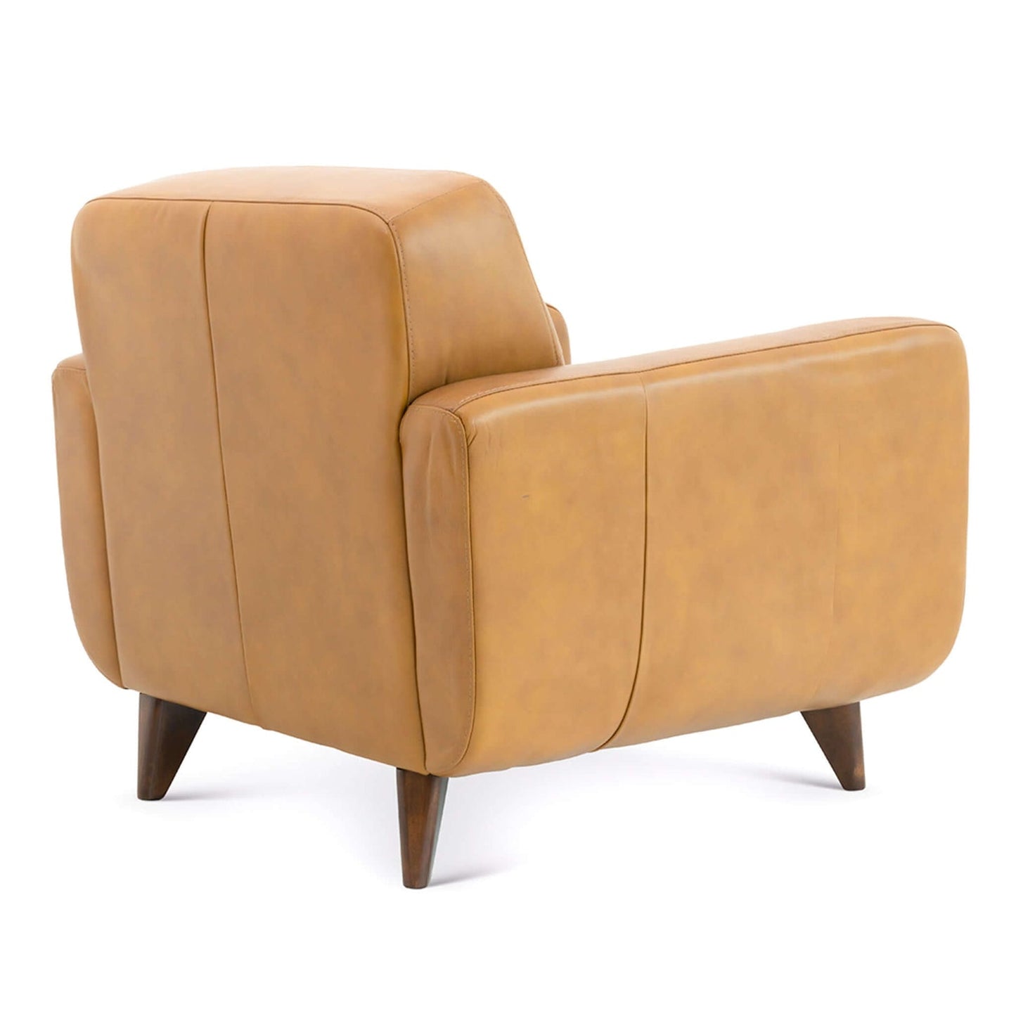 Caser Mid-Century Modern Leather Accent ArmChair