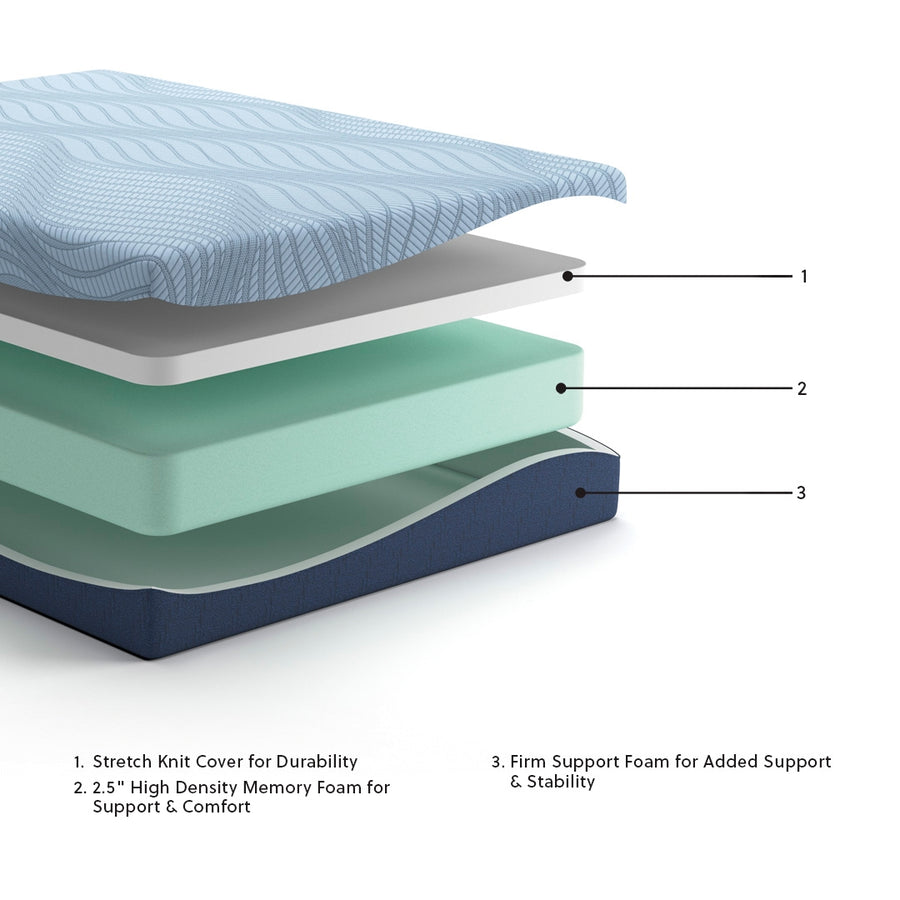 Dellyn 10 Memory Foam White King Mattress M205
