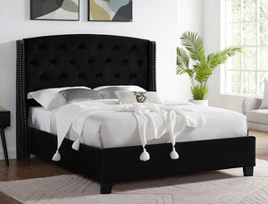 Eva Black Upholstered Queen Bed | 5111