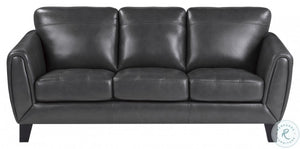 Spivey Dark Gray

Leather Sofa and Loveseat 9460
