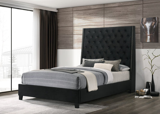 Austin 6ft.Velvet King Bed Black HH630